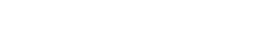 Pluggô AI